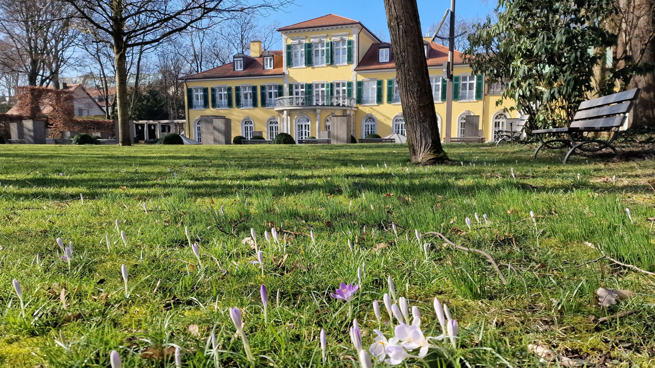 Schlosspark_Fruehling